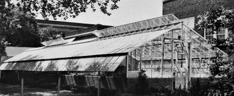 The Greenhouse